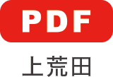 rc PDF